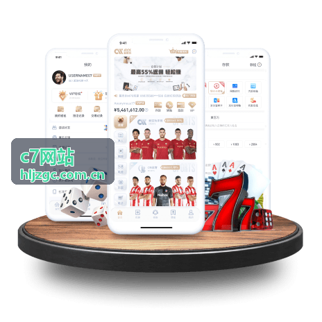 c7网站服务支持与响应流程